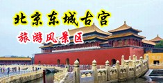 啊啊啊哦哦大鸡八哦好大中国北京-东城古宫旅游风景区